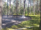 2015-08-20 - Cegielnia - pożar poszycia leśnego
