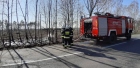 Pożar poszycia leśnego przy trasie Lubnia-Lamk