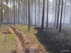 2015-07-05 - Leśnictwo Antoniewo - duży pożar lasu