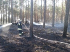 2014-06-10 - Drzewicz - Park Narodowy, pożar poszycia leśnego