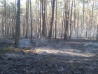 2014-06-10 - Drzewicz - Park Narodowy, pożar poszycia leśnego