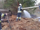 2019-04-13 - Pożar ściółki leśnej w zagajniku w Brusach