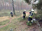 Pożar poszycia leśnego w Czernicy