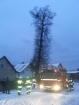 2014-01-29 - Lubnia, usunięcie drzewa grożącego przewróceniem się
