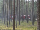 2015-07-05 - Leśnictwo Antoniewo - duży pożar lasu