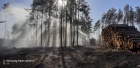 Pożar lasu w miejscowości Chłopowy