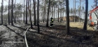 2019-04-02 - Pożar lasu w miejscowości Chłopowy