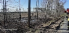 2019-04-20 - Pożar poszycia leśnego przy trasie Lubnia-Lamk