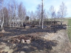 2018-04-07 - Małe Gliśno - pożar traw
