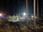 2022-05-11 - Pożar lasu w Olszynach