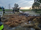 Pożar ściółki leśnej w zagajniku w Brusach