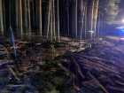 2022-05-11 - Pożar lasu w Olszynach