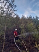 2022-07-30 - Pożar lasu nieopodal Lubni