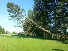 Wielkie Chełmy, drzewo uszkodzone podczas burzy
