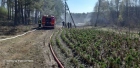 2019-04-23 - Pożar lasu niedaleko miejscowości Blewiec