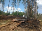 Pożar lasu w Małych Chełmach