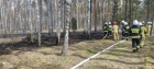 2022-04-01 - Pożar lasu w Rudzinach