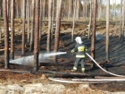 2020-04-16 - Pożar lasu niedaleko Okręglika